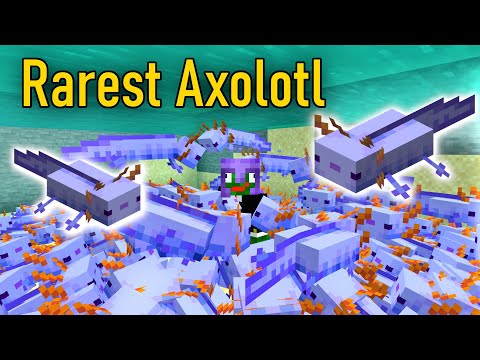 The BEST Way to get a BLUE AXOLOTL in Minecraft