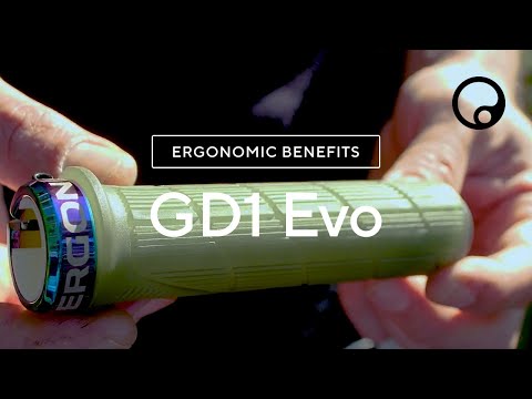 Ergon GD1 Evo gripy
