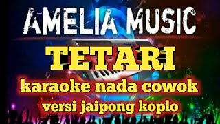 Download lagu karaoke sasak TETARI nada cowok cover @MEMET_MK_ mp3