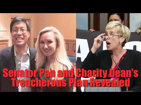 Leigh Dundas Press Conference on investigating SB276