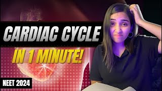 Cardiac Cycle in 1 minute NEET 2024- Class 11 Body Fluids and Circulation.