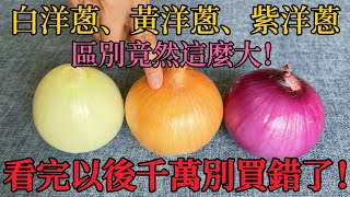 [問卦] 紫洋蔥怎麼比白洋蔥少見？