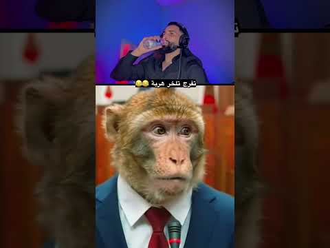 26 أكتوبر 2026