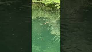 樫内利政 撮影　毒あるよね