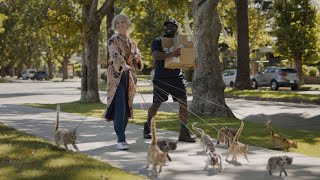 Dr Pepper Delivery man in a cat house