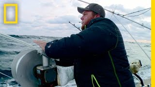 First Fish of the Morning | Wicked Tuna: Outer Banks