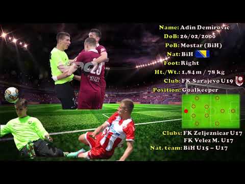 Adin Demirovic CV 2019