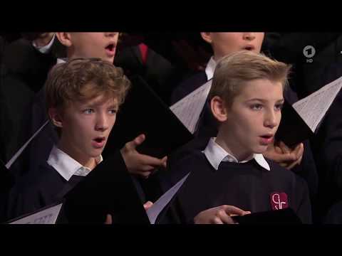 Knabenchor collegium iuvenum Stuttgart (CIS) | "Machet die Tore weit" Andreas Hammerschmidt (2018)