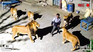 105 MOMENTOS INCRÍVEIS GRAVADOS PELAS CÂMERAS DE VIGILÂNCIA