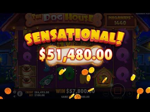 The Dog House Megaways gameplay video