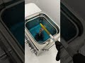 Moissanite Cuban Chain Cleaning Process Icedoutwatch Trendingshorts Moissanite Diamond