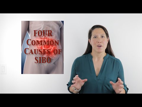 FOUR Common Causes of SIBO