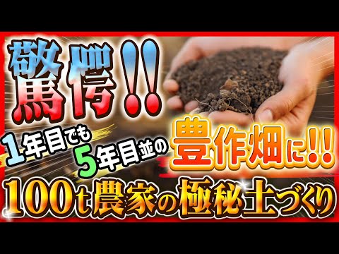 堆肥化した馬糞の使い方は？肥沃な作物を育てるための利点とヒント  庭園