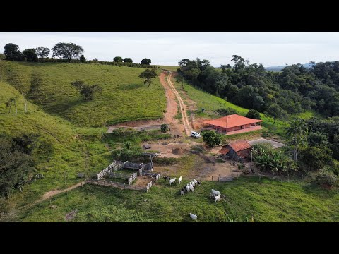 SÍTIO ESPETACULAR EM PINHALAO PR  CASA COM 250 METROS . 7,6 ALQ R$ 1,250 MIHAO