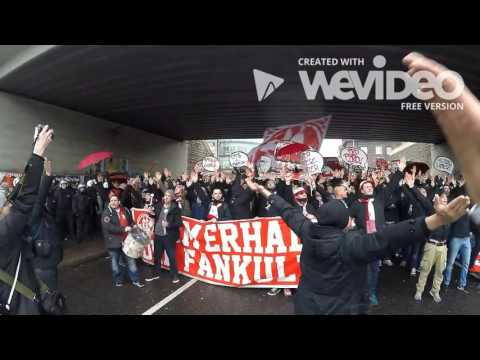 Du bist mein Verein - Ich liebe Dich! (Oh FC Köln, 1. FC Köln)