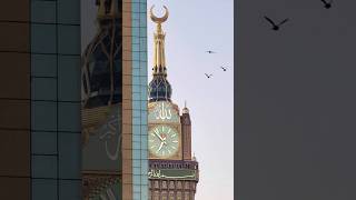 Download lagu Mohammad Nabaina....# #youtubeshorts #beautiful #youtubevideo #ytshorts #ilovemohammadﷺ #mohammad mp3