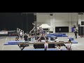Amelia S Level 8 Bars Rose City Classic 03 04 2022