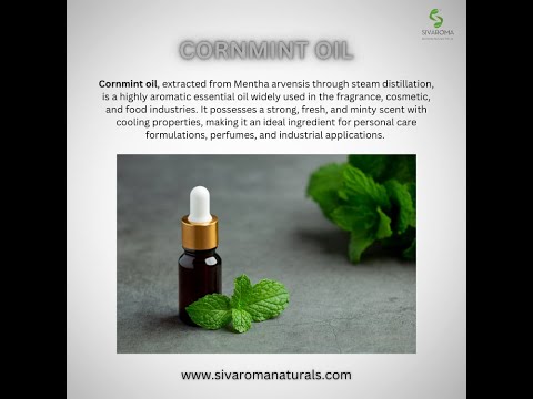 Corn Mint Oil