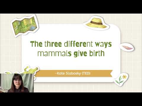 Final oral presentation- The three different ways mammals give birth