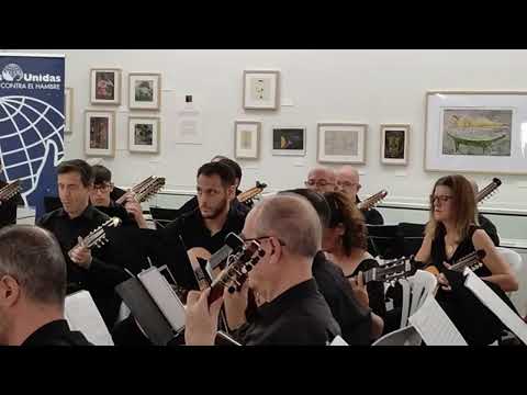 VENEZIA Agrupación Musical Luis Palacios 2025