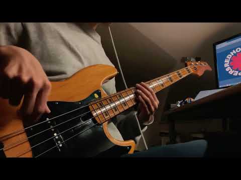 RHCP - Cant Stop | Sire V5 Bass Cover