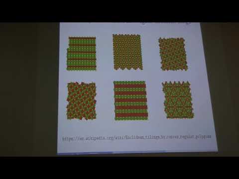 2019Danag, 2of20, Ilia Kofman, Mahler measure and the Vol Det Conjecture