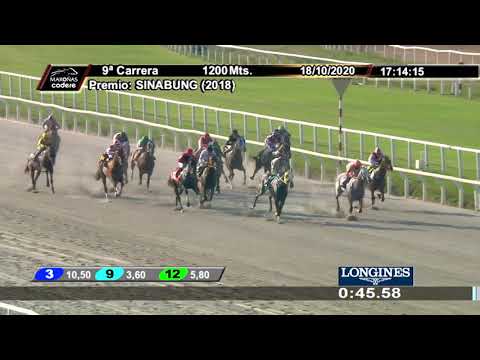 201018 c09 MALI BLUE