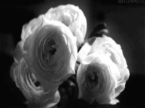 Damolh33 - Black Rose (Original Mix)