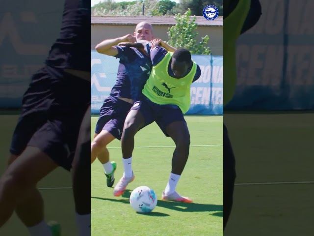 Vídeo relacionado con DEPORTIVO ALAVÉS Equipación Oficial Entrenamiento 20/21 Sudadera Entreno Adulto Roja 20/21, Unisex Adulto, Rojo, XS