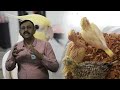 How And When To Breed Cockatiel Birds What To Feed Them And Where To Keep Them Dr Nagender
