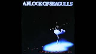 A Flock Of Seagulls - Never Again (The Dancer) [12&quot; Single 45 RPM] 1984