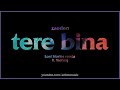 zaeden - tere bina (lost stories remix) ft. yashraj (Lyrics)