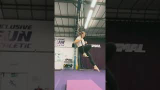 Dance trapeze