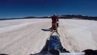 preview picture of video 'Dog sledding in Leadville, Colorado!'