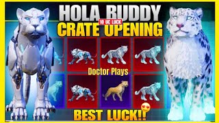 😱 NEW HOLA BUDDY | PANTHER HOLA BUDDY