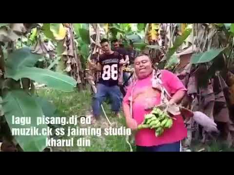 Dj ed pisang (,lagu baru)