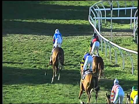 Galoppo 06/02/2016 - 2° corsa