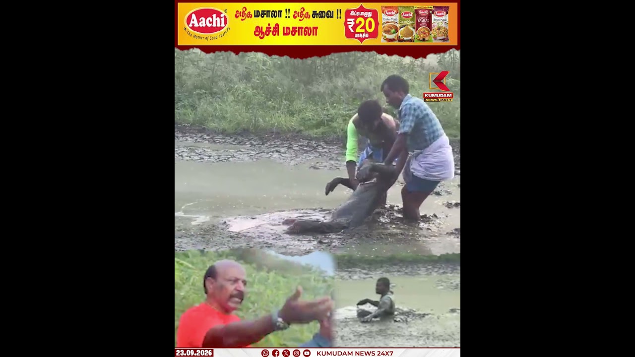 சேற்றில் சிக்கி தவித்தவரை மீட்ட மா.சுப்பிரமணியன்..! | DMK | MA. SUBRAMANIYAN | VIRAL VIDEO | SHORTS
