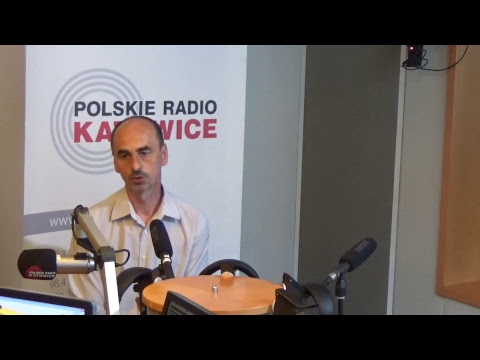 Ekspert radzi: jak wybrać dobry miód i jak wykorzystać go w leczeniu? cz.2