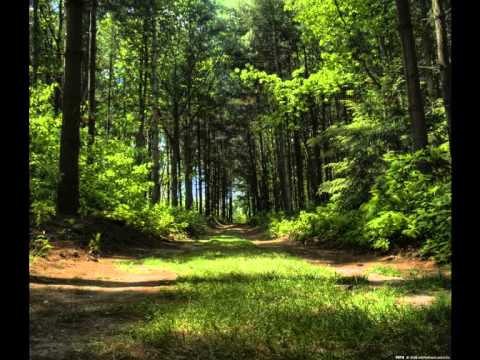 De ce a murit Isus? - prima parte