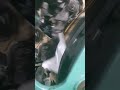 Riproduci video