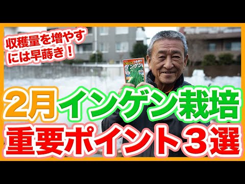 ブッシュインゲンの準備: どのようなオプションがありますか? ライフスタイル