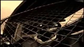 Rappers Against Racism - Rhythm Of Life