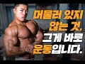 가슴운동 팁 모든 걸 담았다 🔥 I 나바 프로 최재상 가슴운동