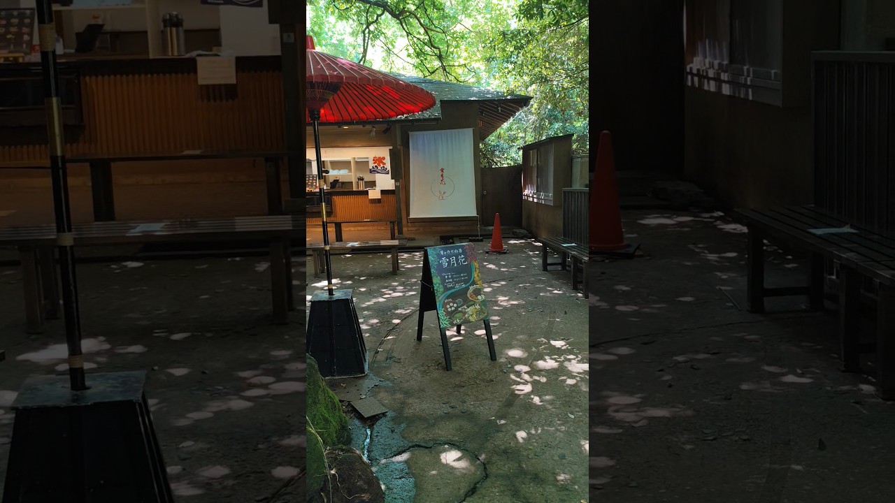 YouTube Short thumbnail