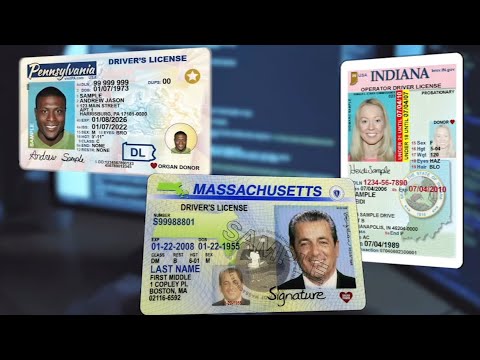 Experts warn that thieves are targeting your driver's license for personal information