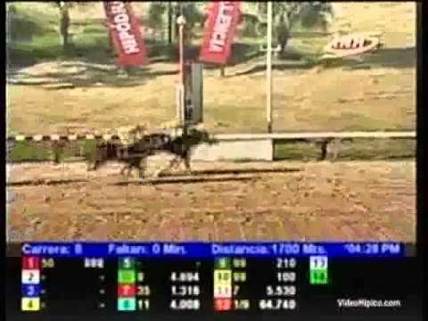 Resumen Viernes, 23 de Agosto de 2013 - Valencia