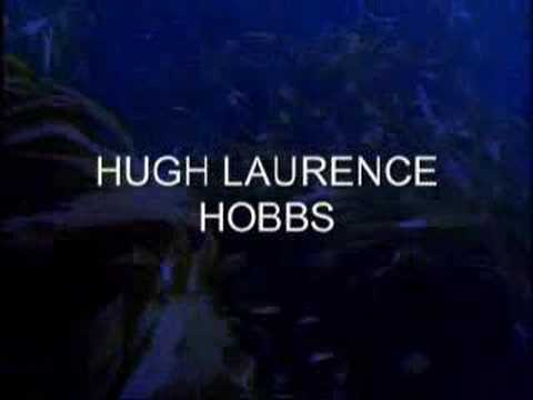 AQUANOIDS Opening Titles