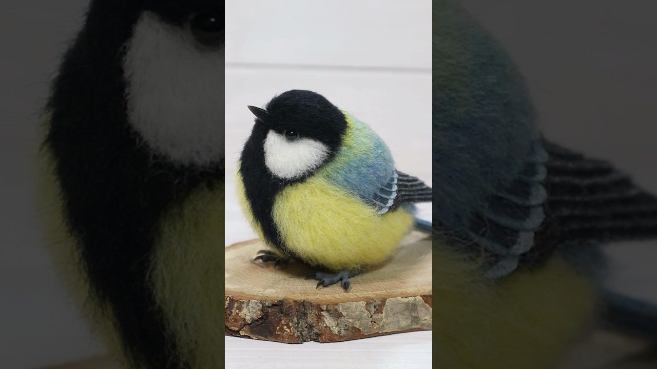 羊毛フェルトでまるまるシジュウカラを作ってみました！#shorts #羊毛フェルト #シジュウカラ #野鳥 #職人 #小鳥 #芸術 #手芸 #howto #needlefelting #アート