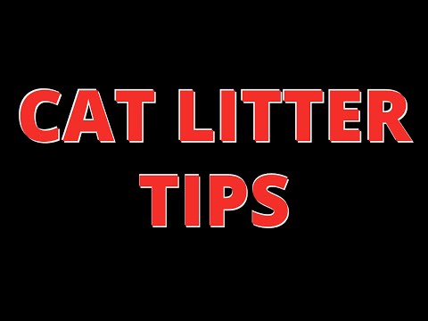 Top 10 🐱 CAT LITTER HACKS Every Cat Owner Needs To Know